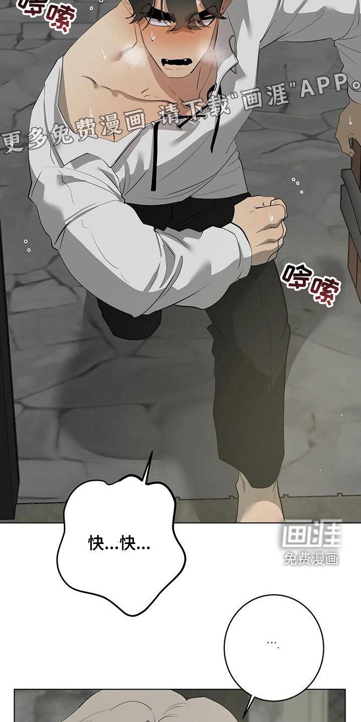 第80章：【第二季】结局