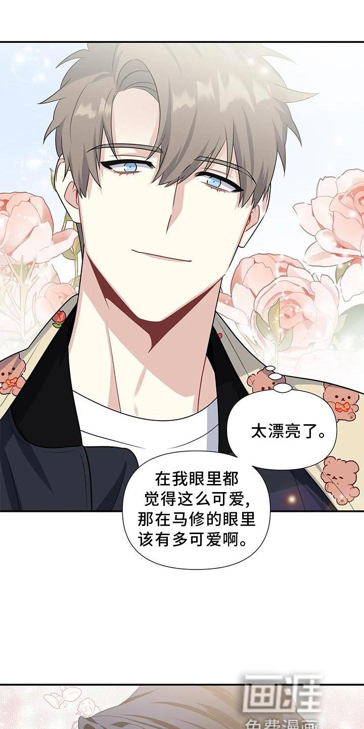 第20章：期待