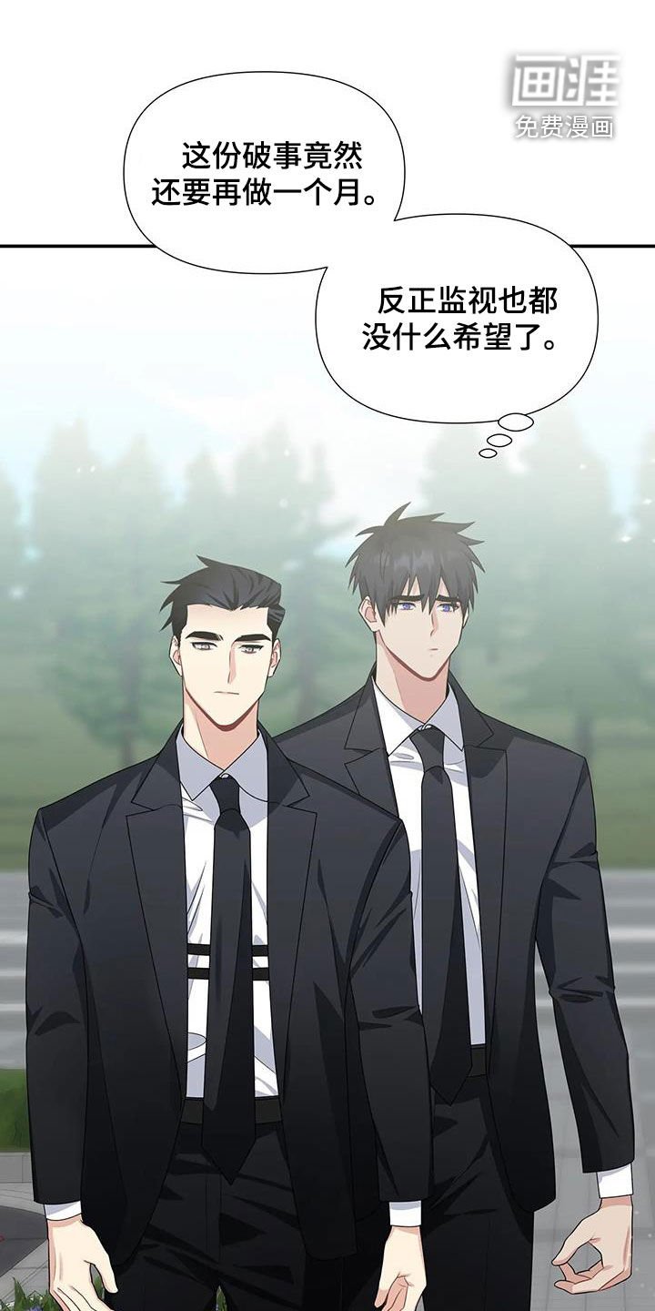 第24章：电话