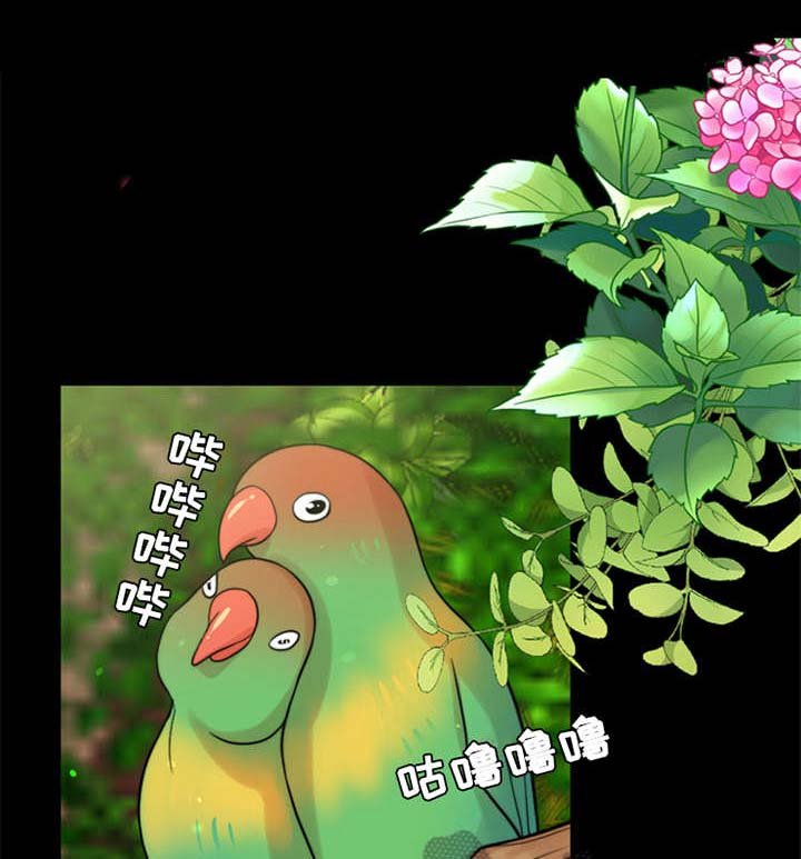 第12章：元气满满