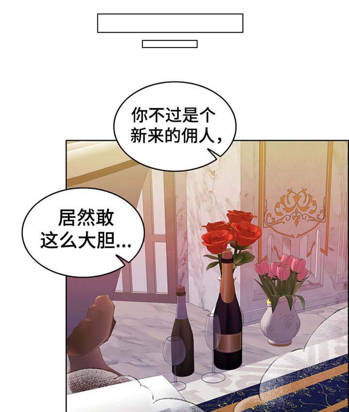 第26章：住家佣人