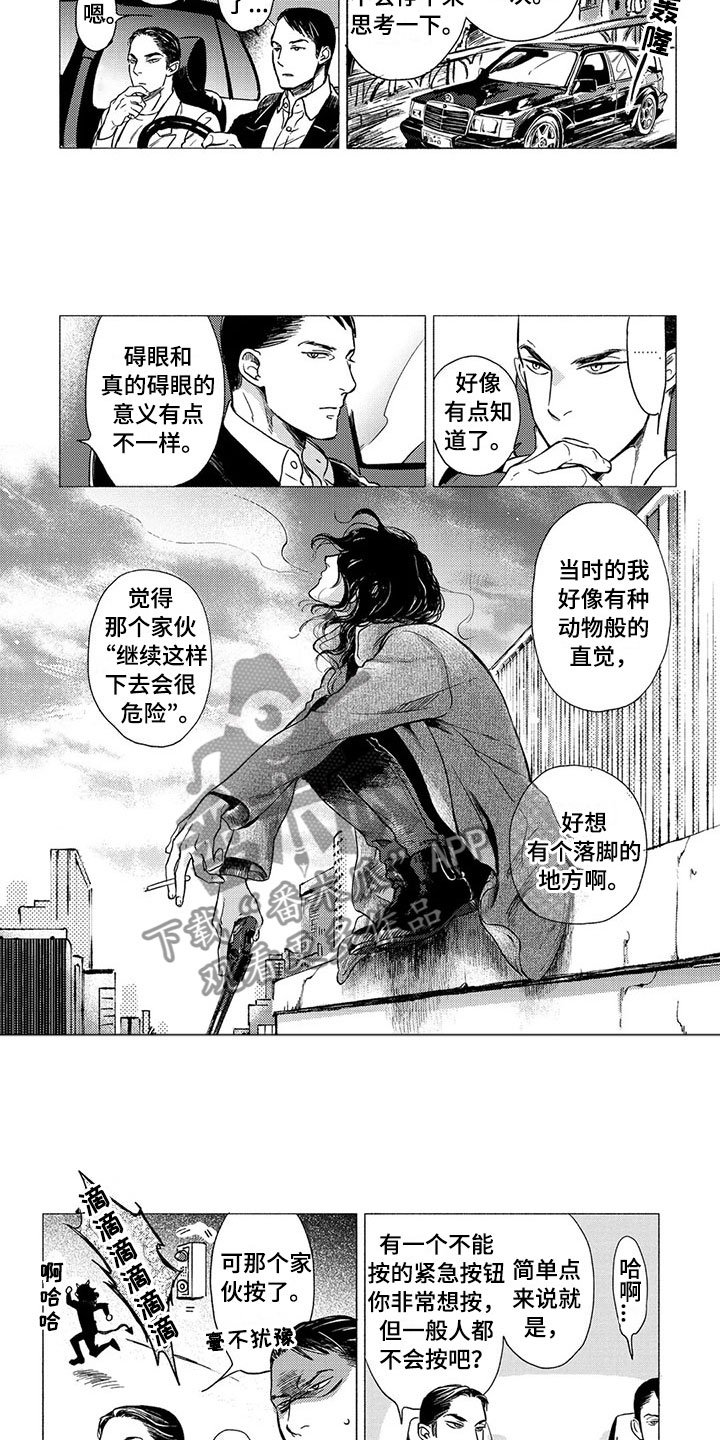 第18章：坠落