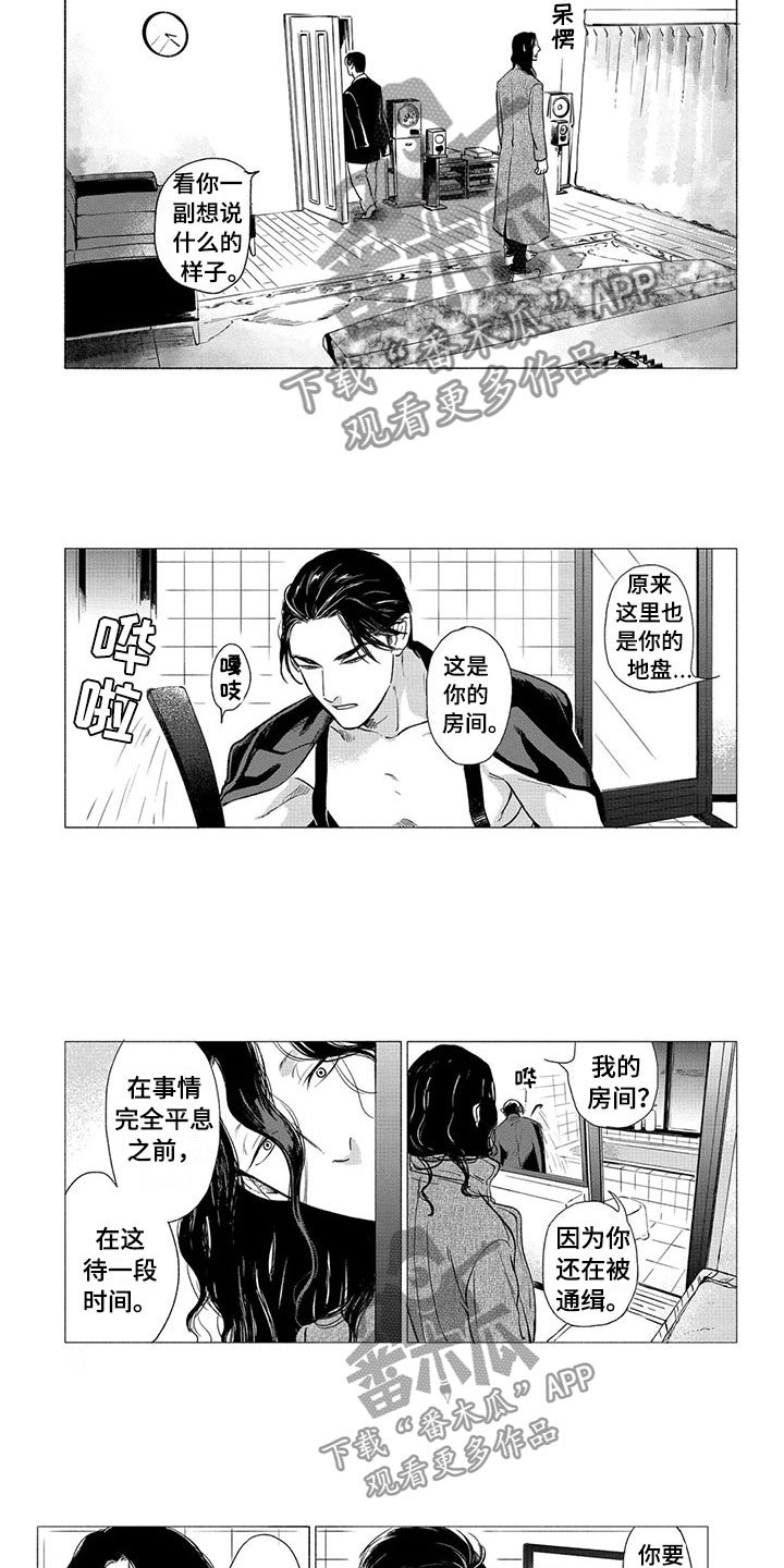 第22章：落脚地