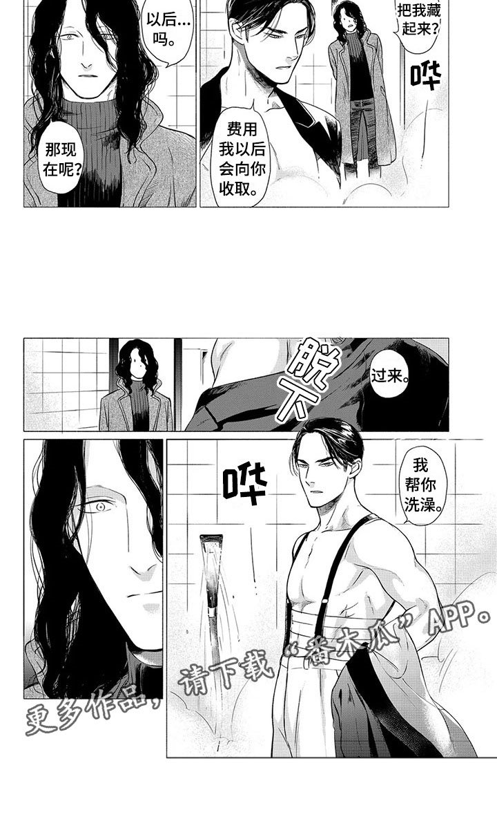 第22章：落脚地