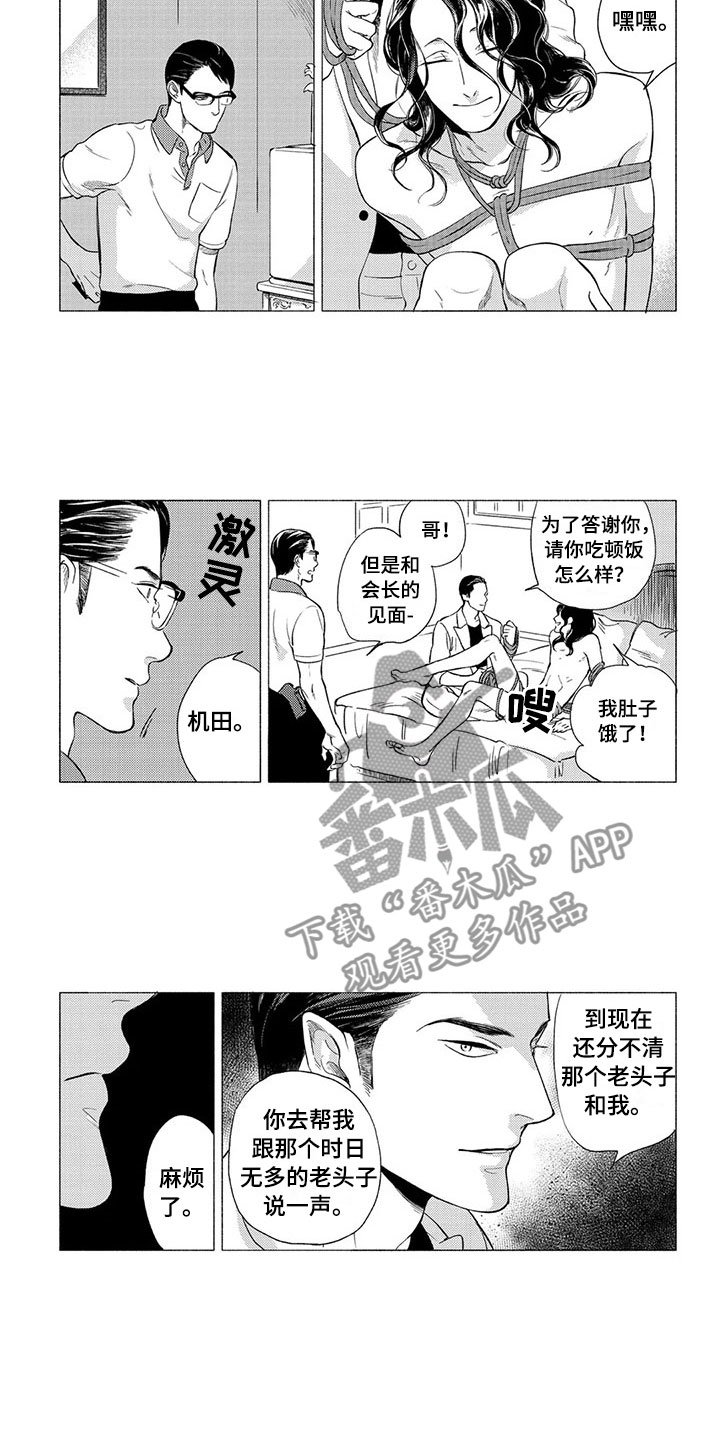 第6章：挑衅