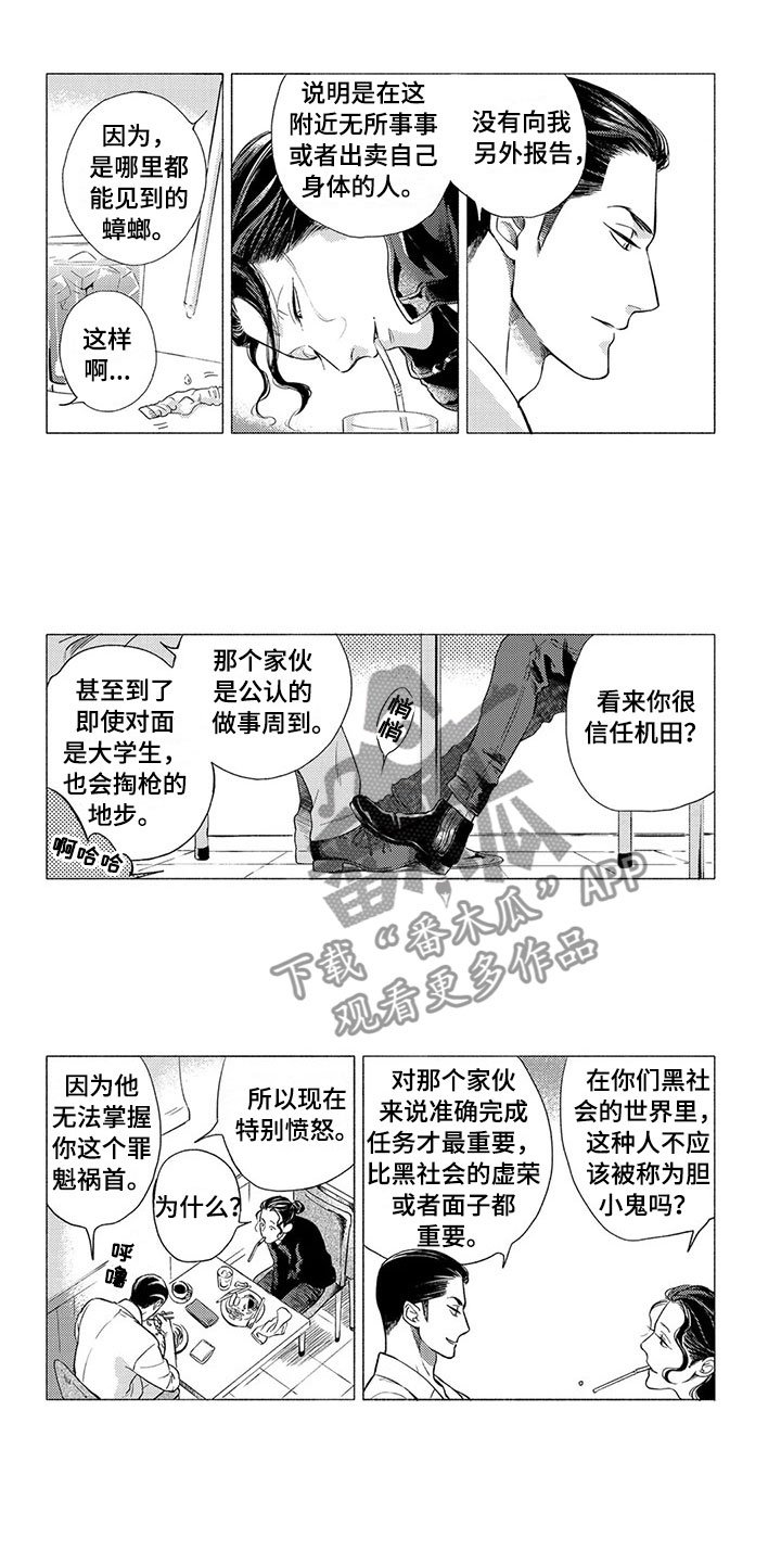 第6章：挑衅