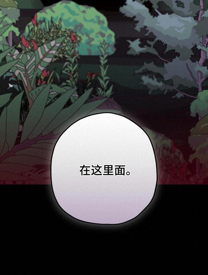 第120章：【番外】寻找