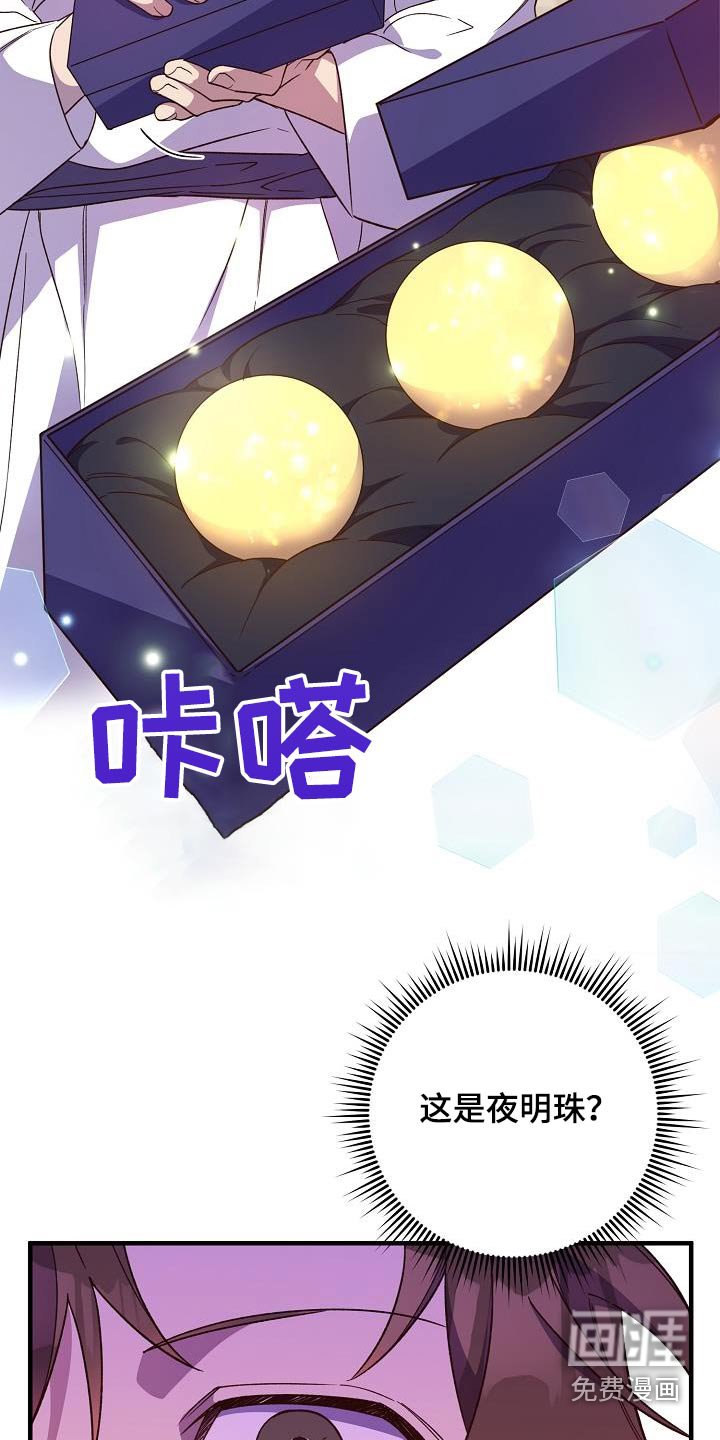 第125章：【番外】夜明珠
