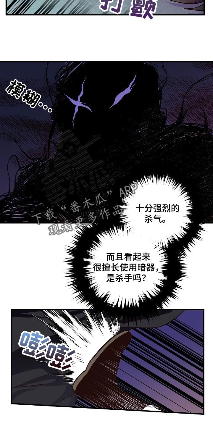 第30章：袭击