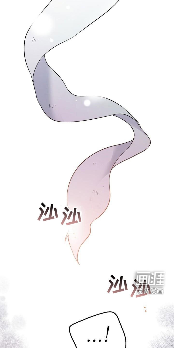 第62章：伪装