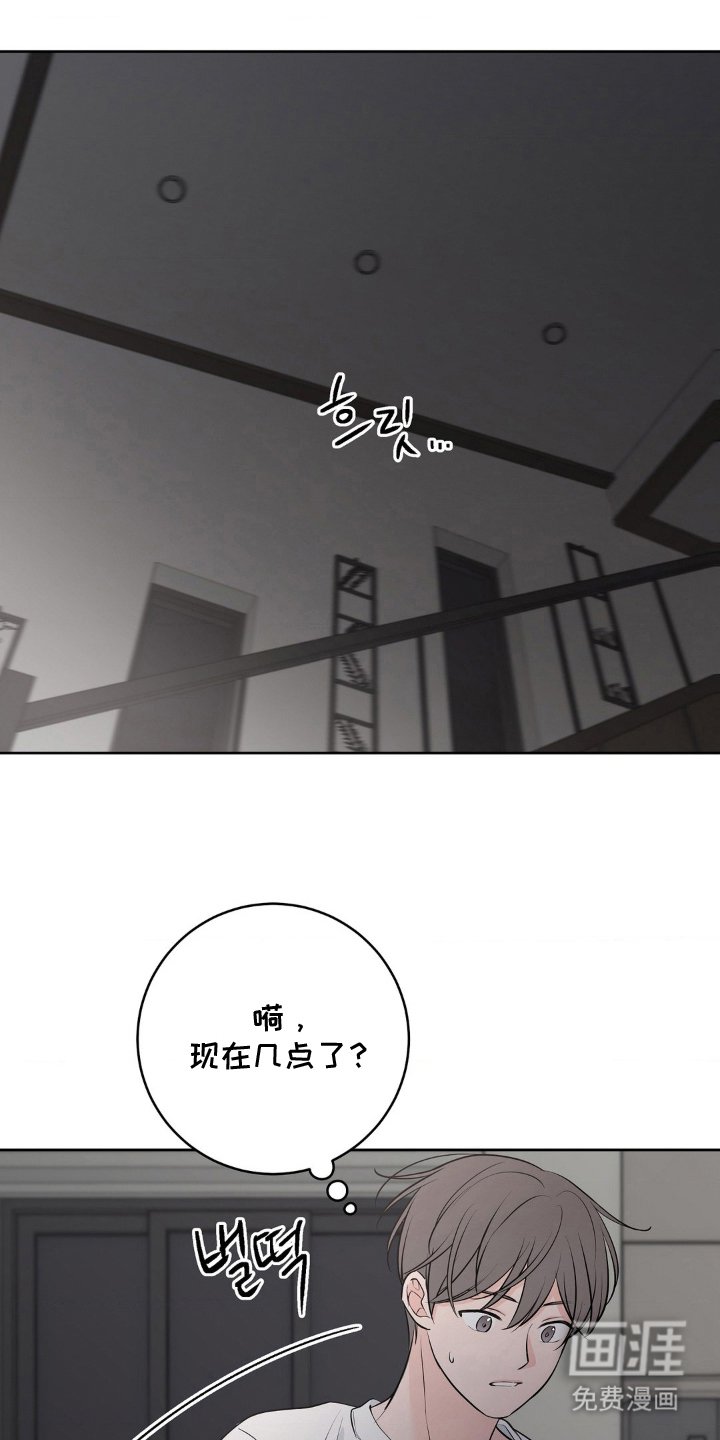 第17章：偏执