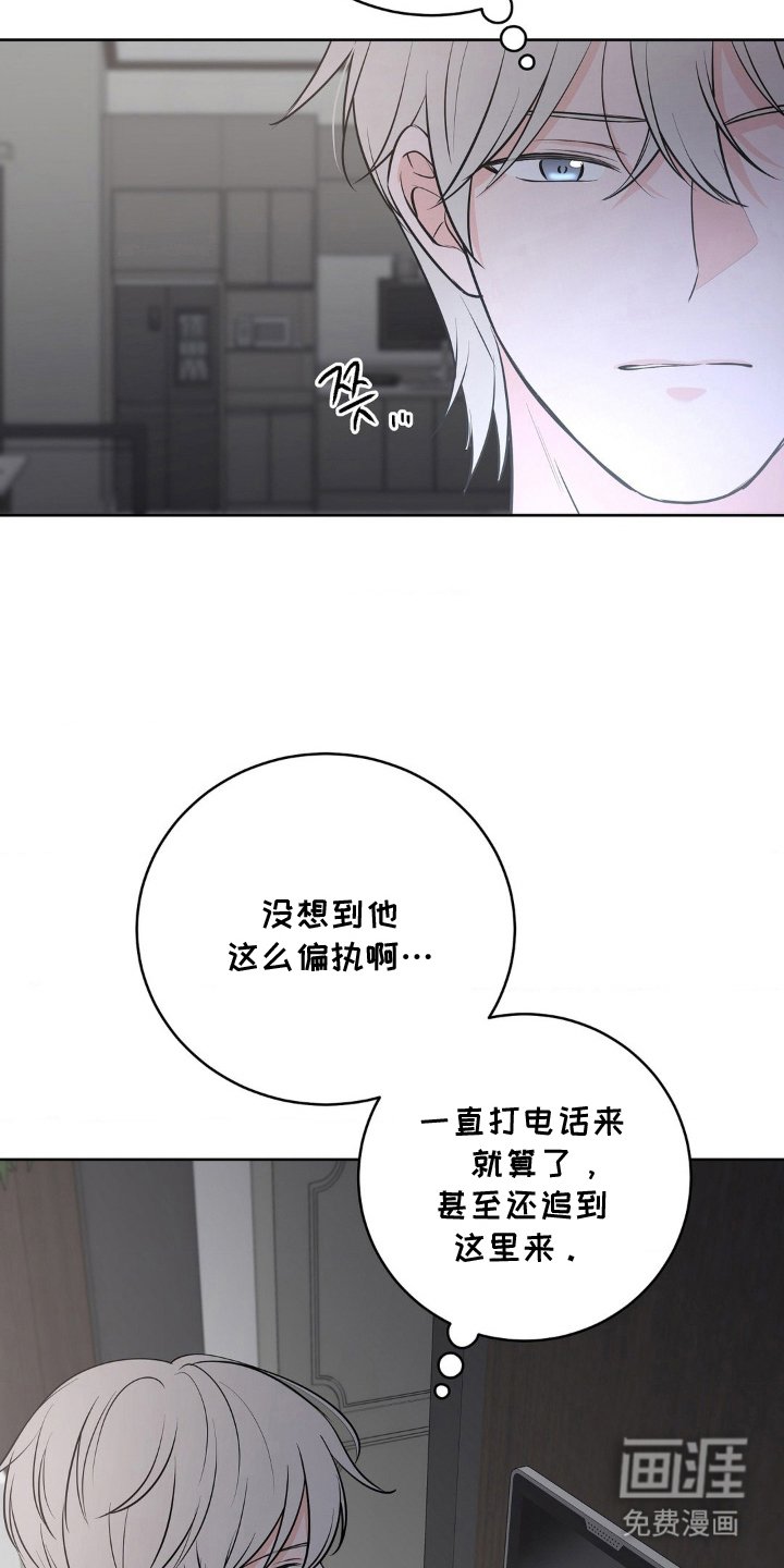 第17章：偏执