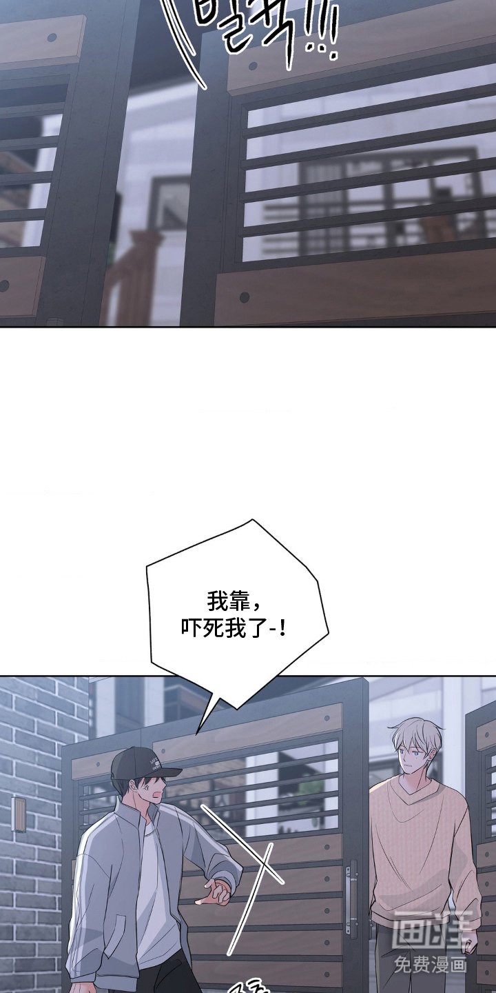 第17章：偏执