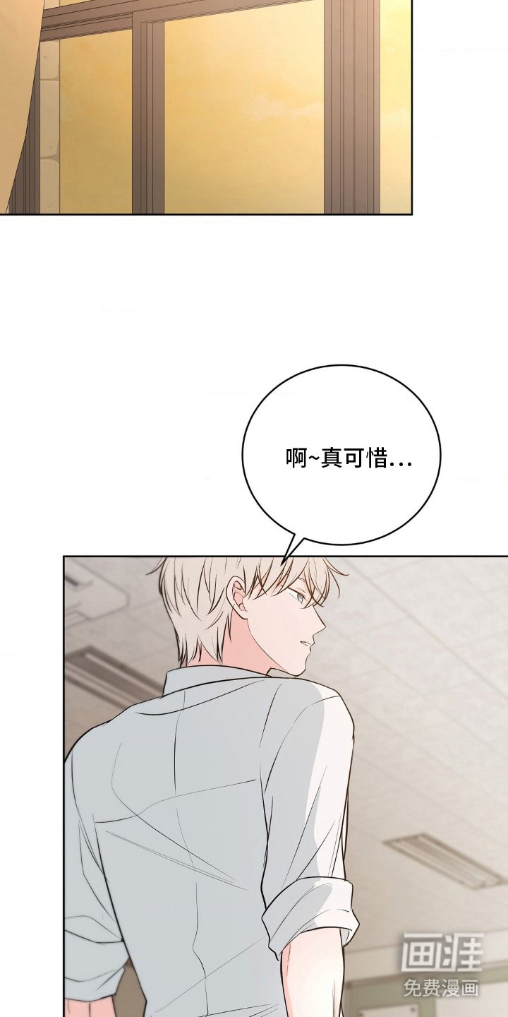 第23章：喜欢