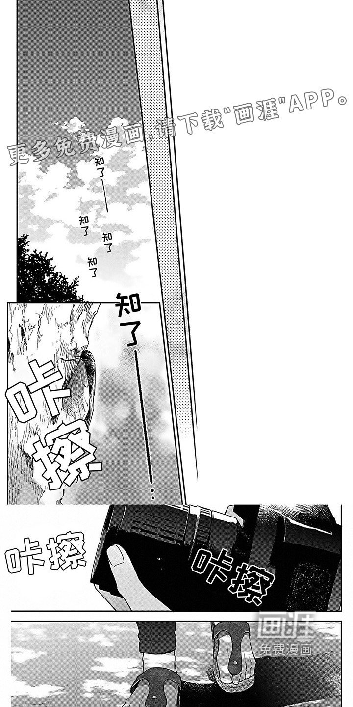 第19章：爱的夏天【完结】