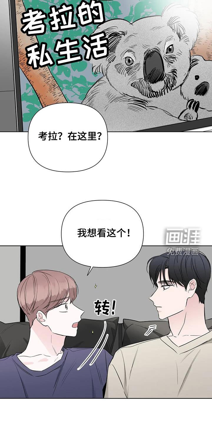 第15章：看电影