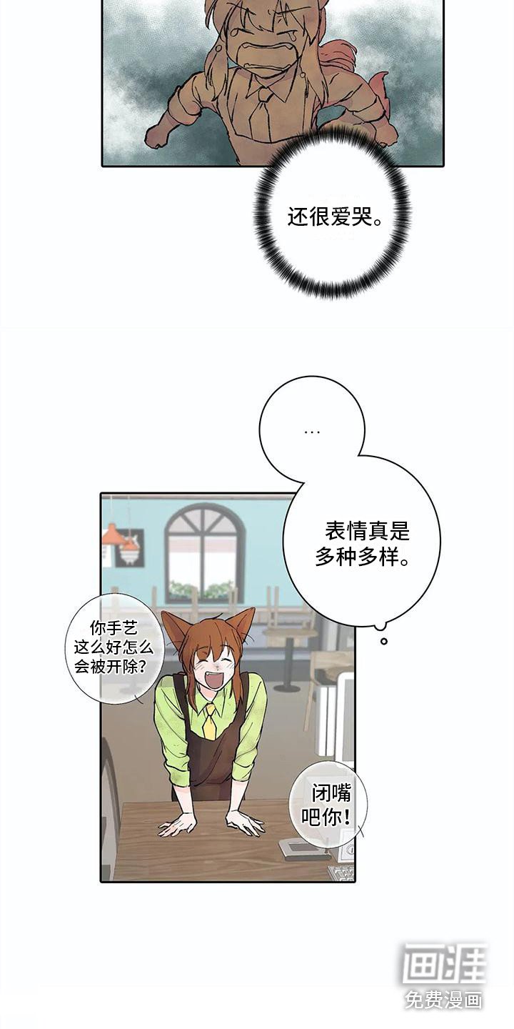 第11章：步骤