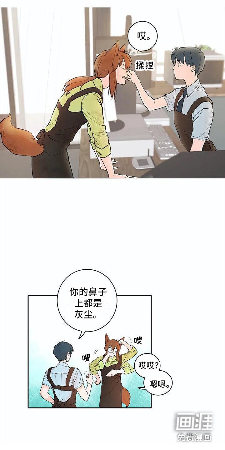 第11章：步骤