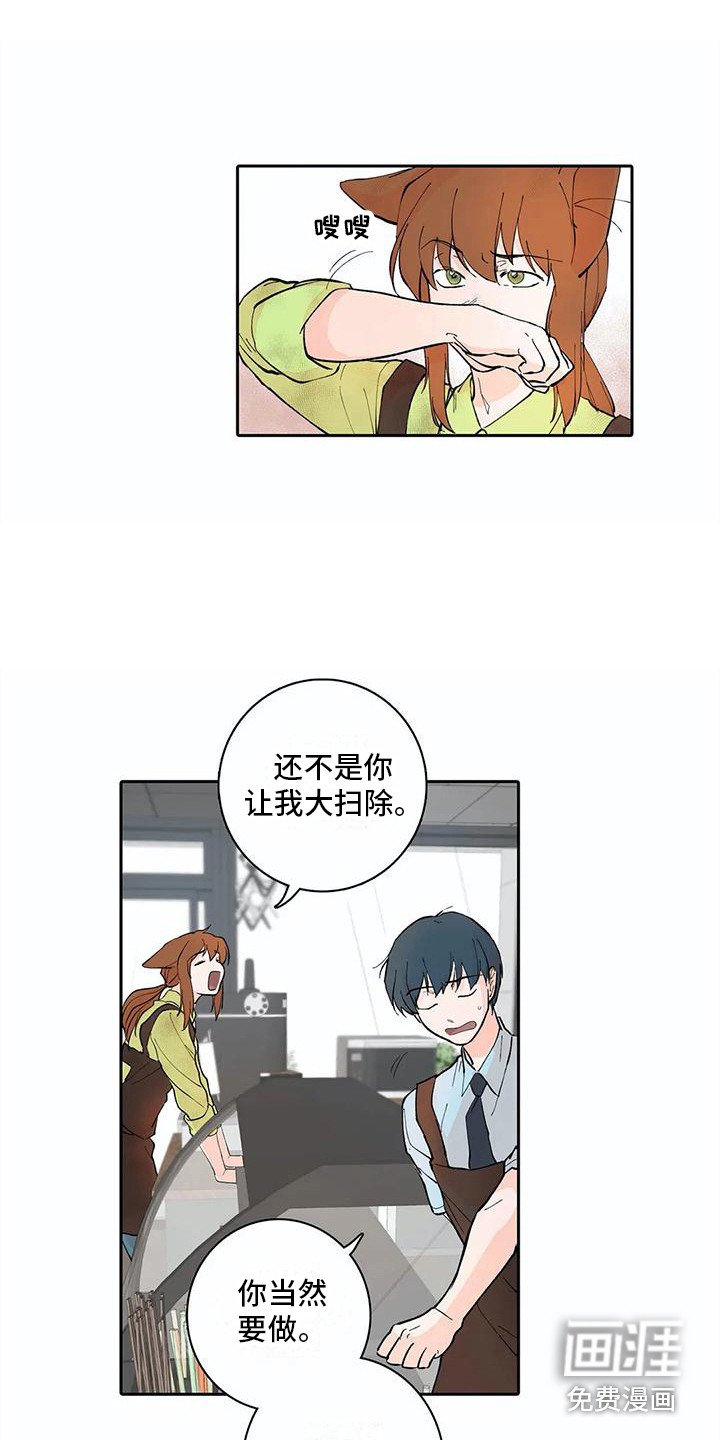 第11章：步骤