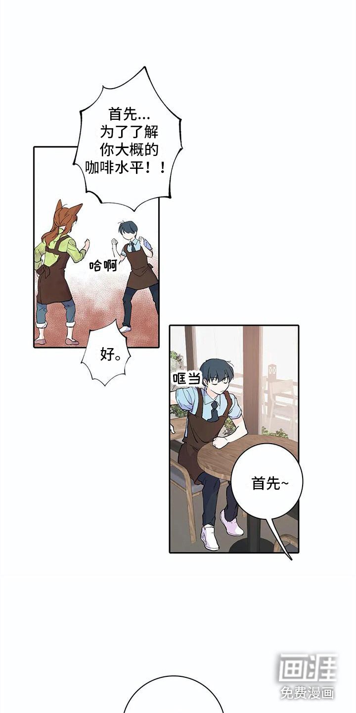 第11章：步骤