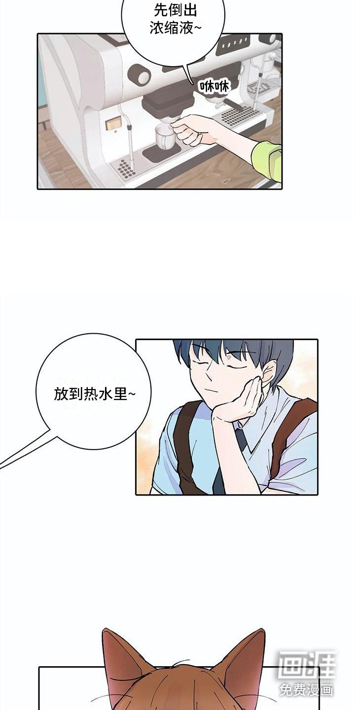 第11章：步骤