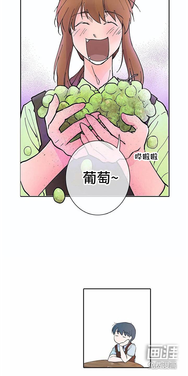 第11章：步骤