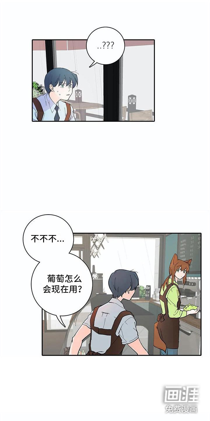 第11章：步骤