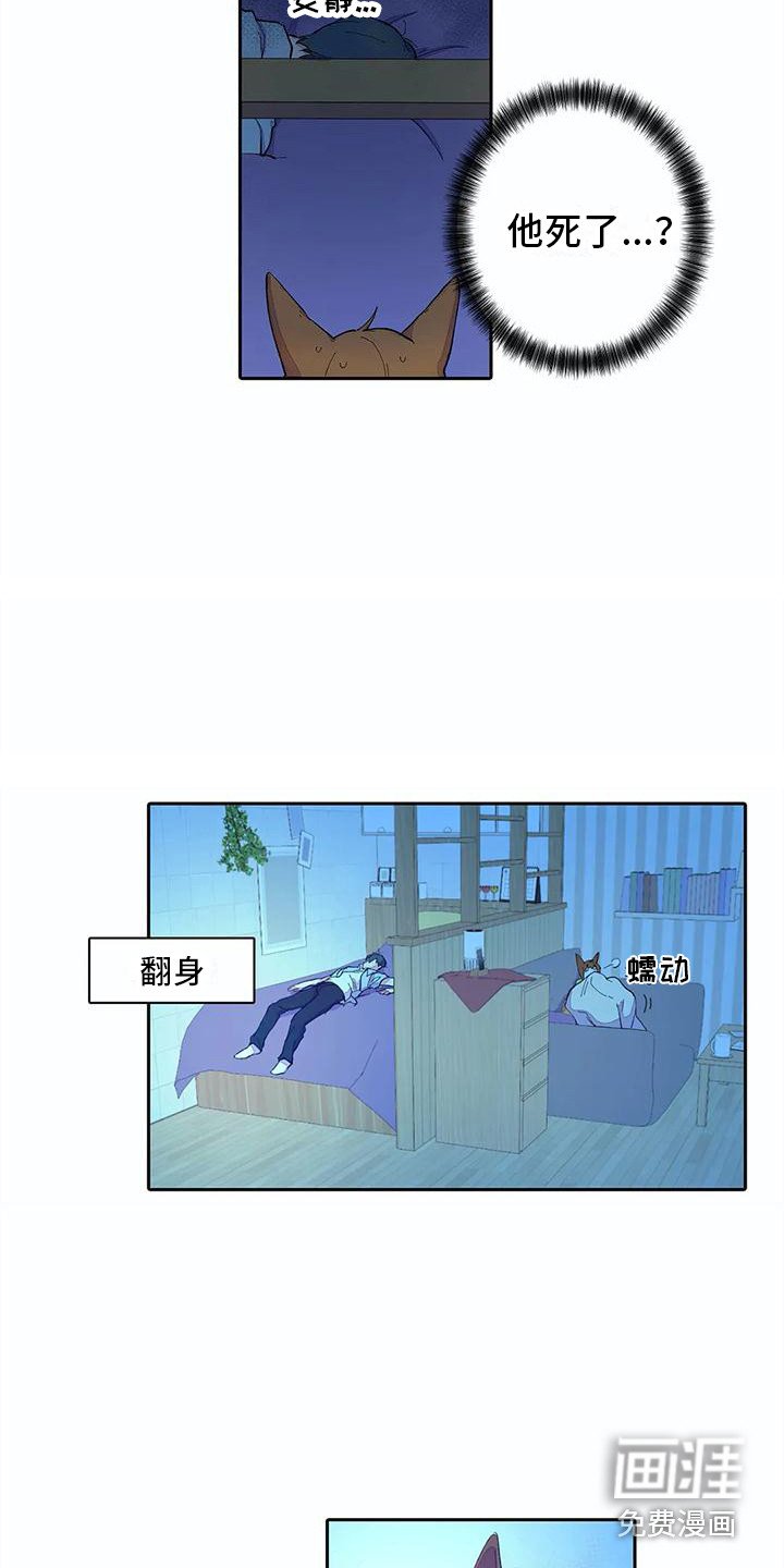 第16章：吓一跳