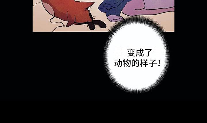 第20章：活久见