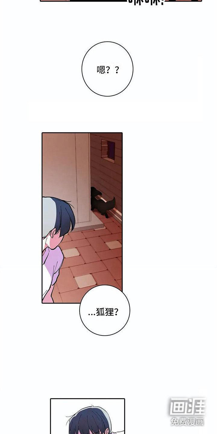 第21章：错觉