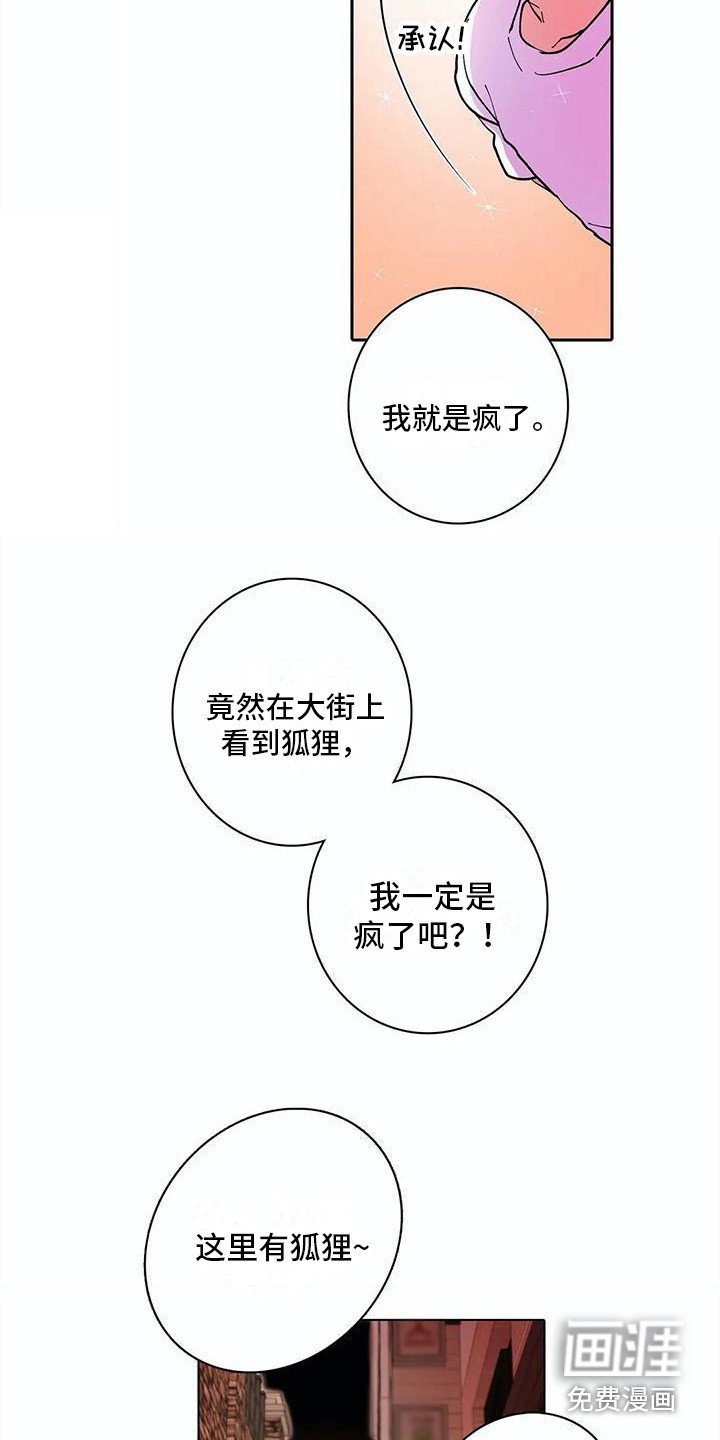 第21章：错觉