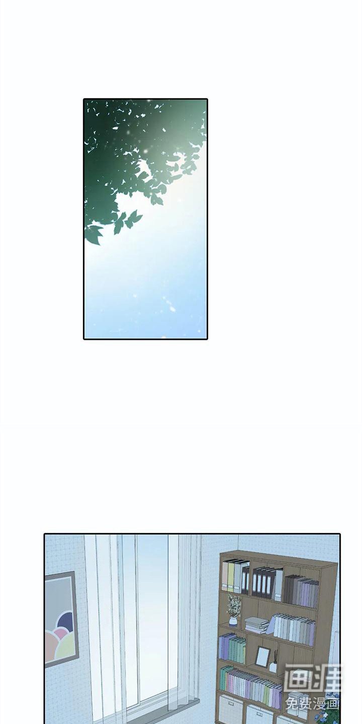 第21章：错觉