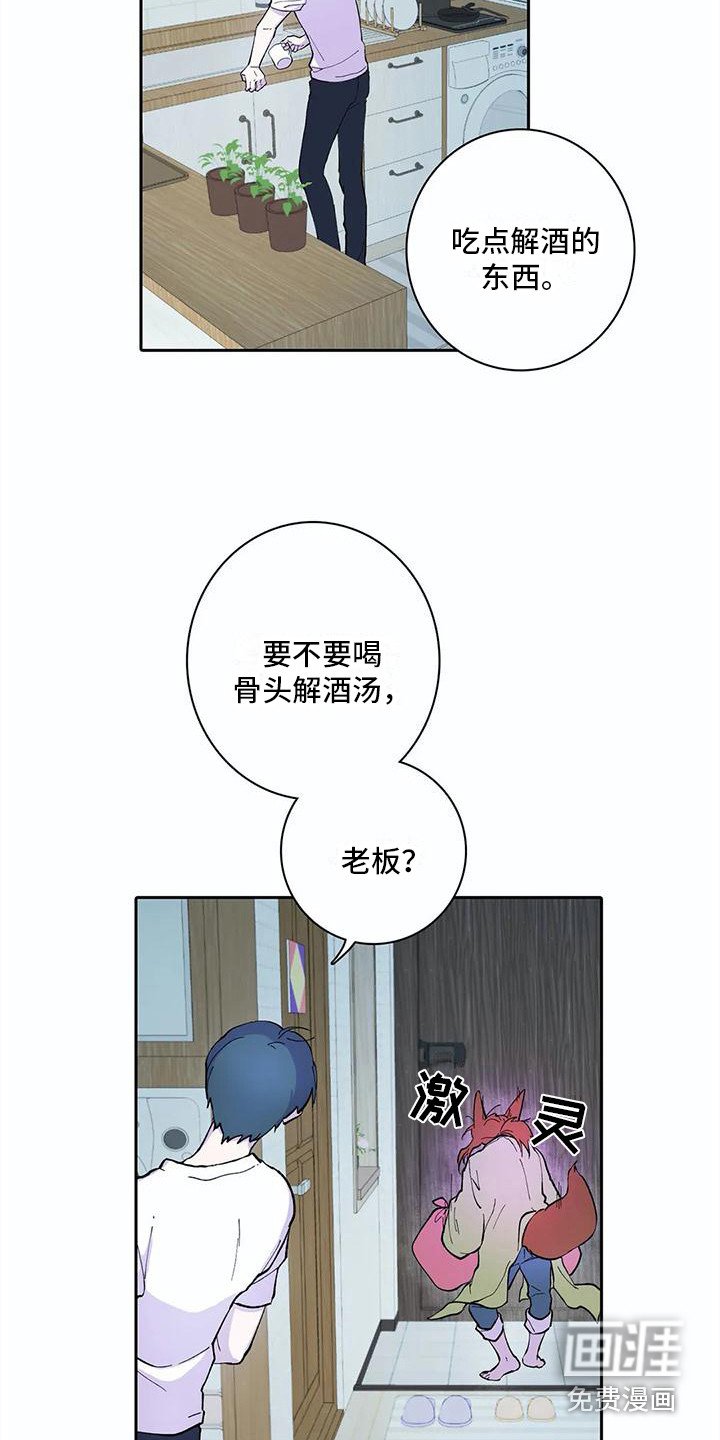 第21章：错觉