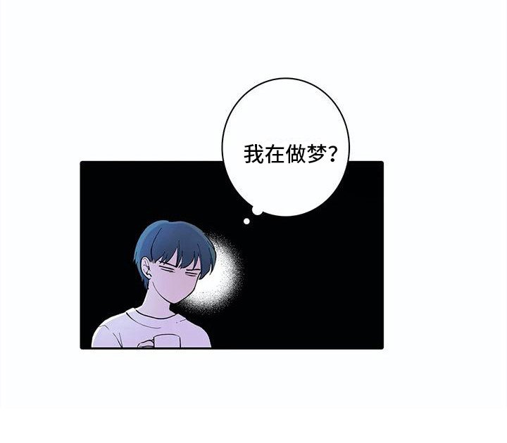 第21章：错觉