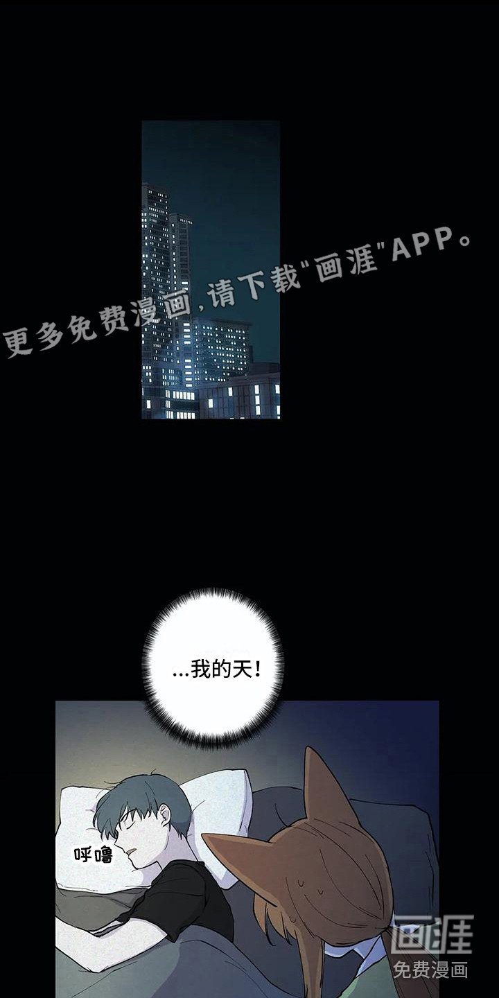 第29章：失败了