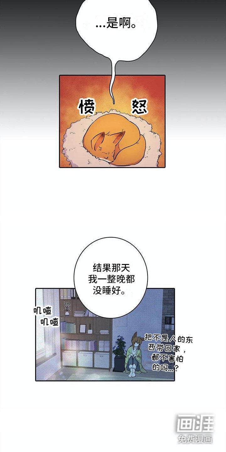 第29章：失败了