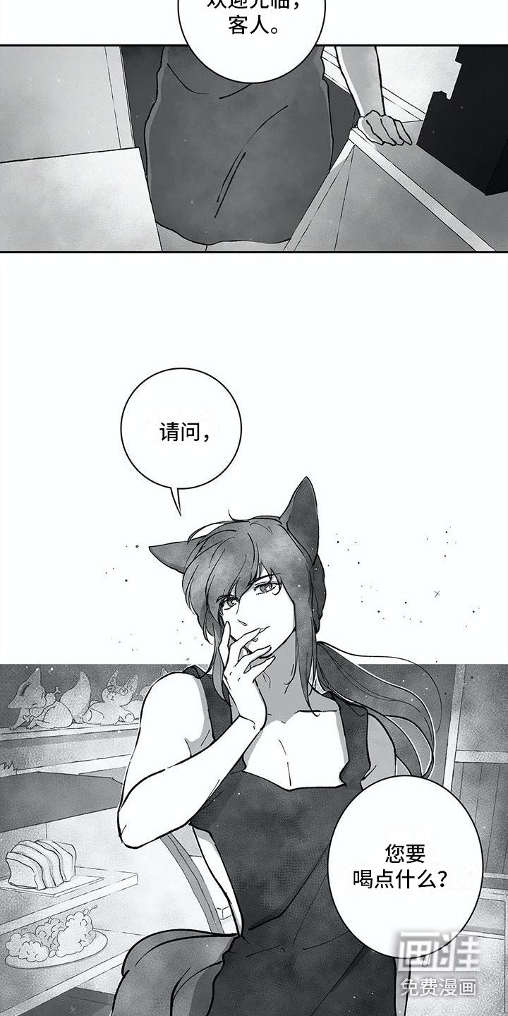 第29章：失败了