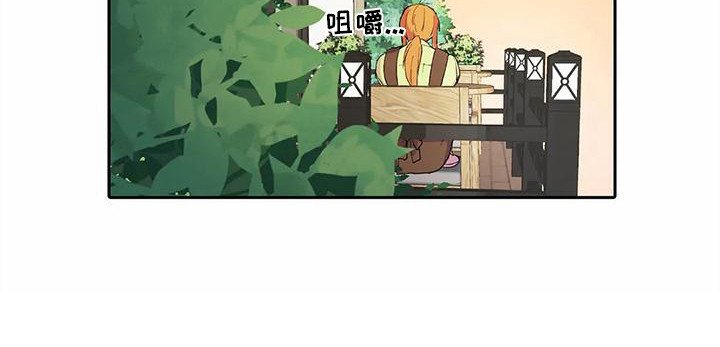 第29章：失败了