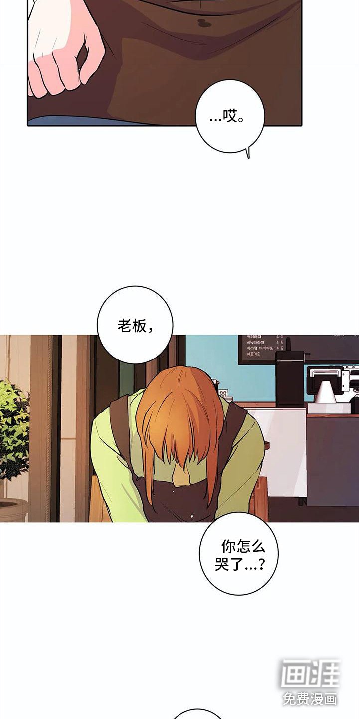 第34章：表白