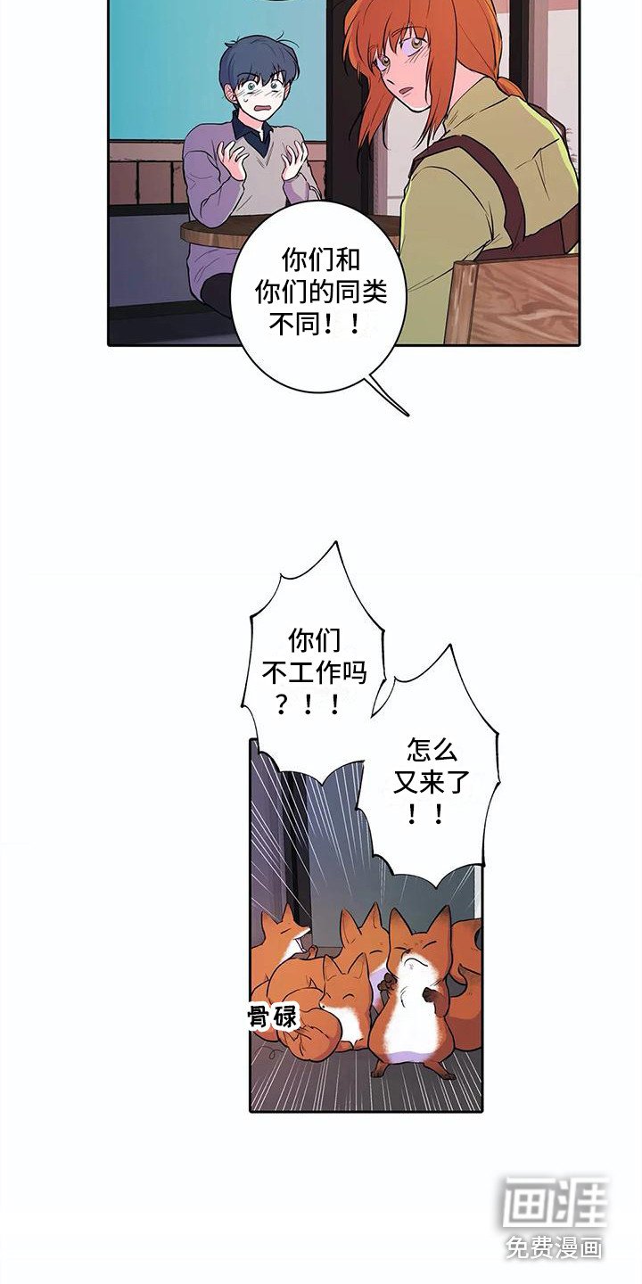 第36章：想要了解