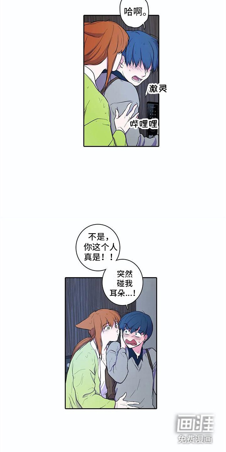 第37章：忐忑