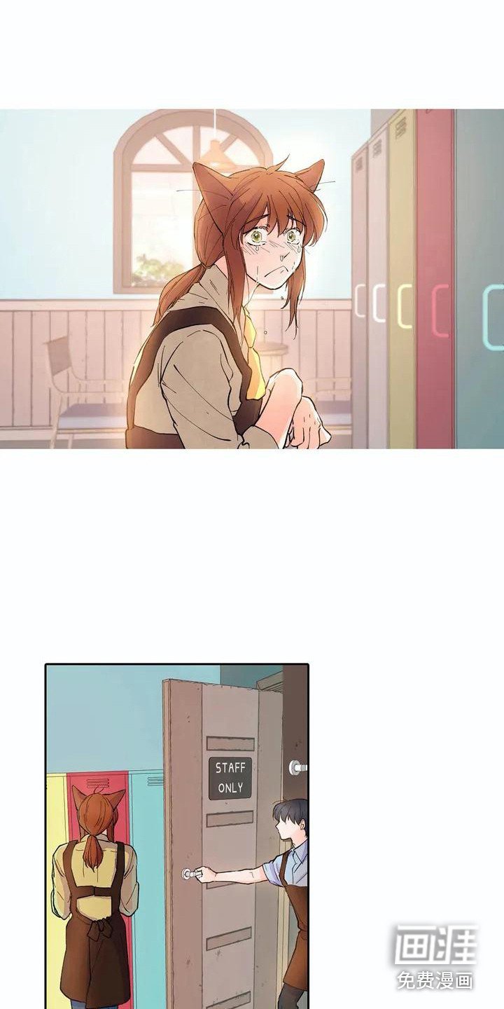 第6章：耳朵