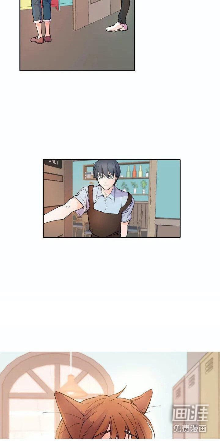 第6章：耳朵