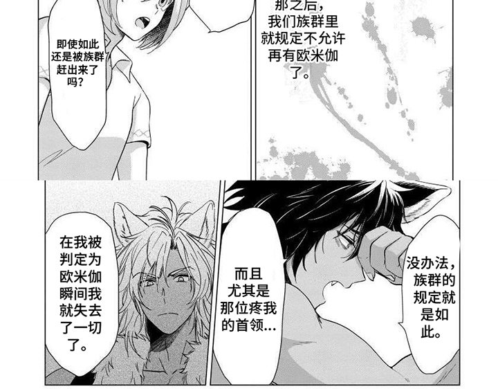第8章：保护