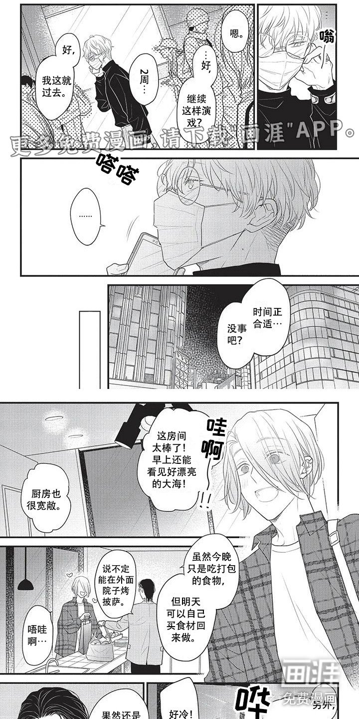 第20章：盗取设计
