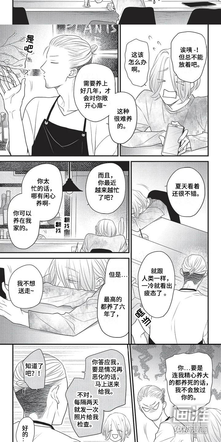第5章：触动心扉 
