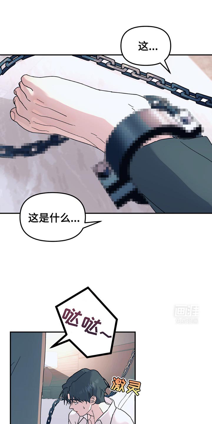 第104章：【第二季】调查