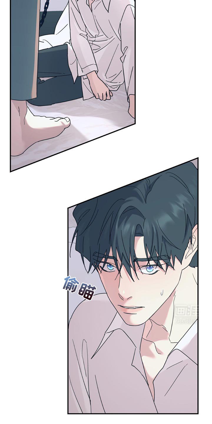 第104章：【第二季】调查