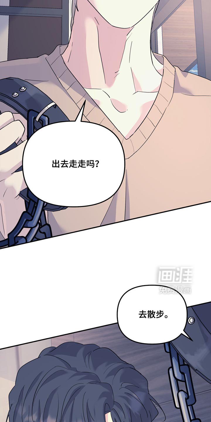第117章：【第二季】去散步