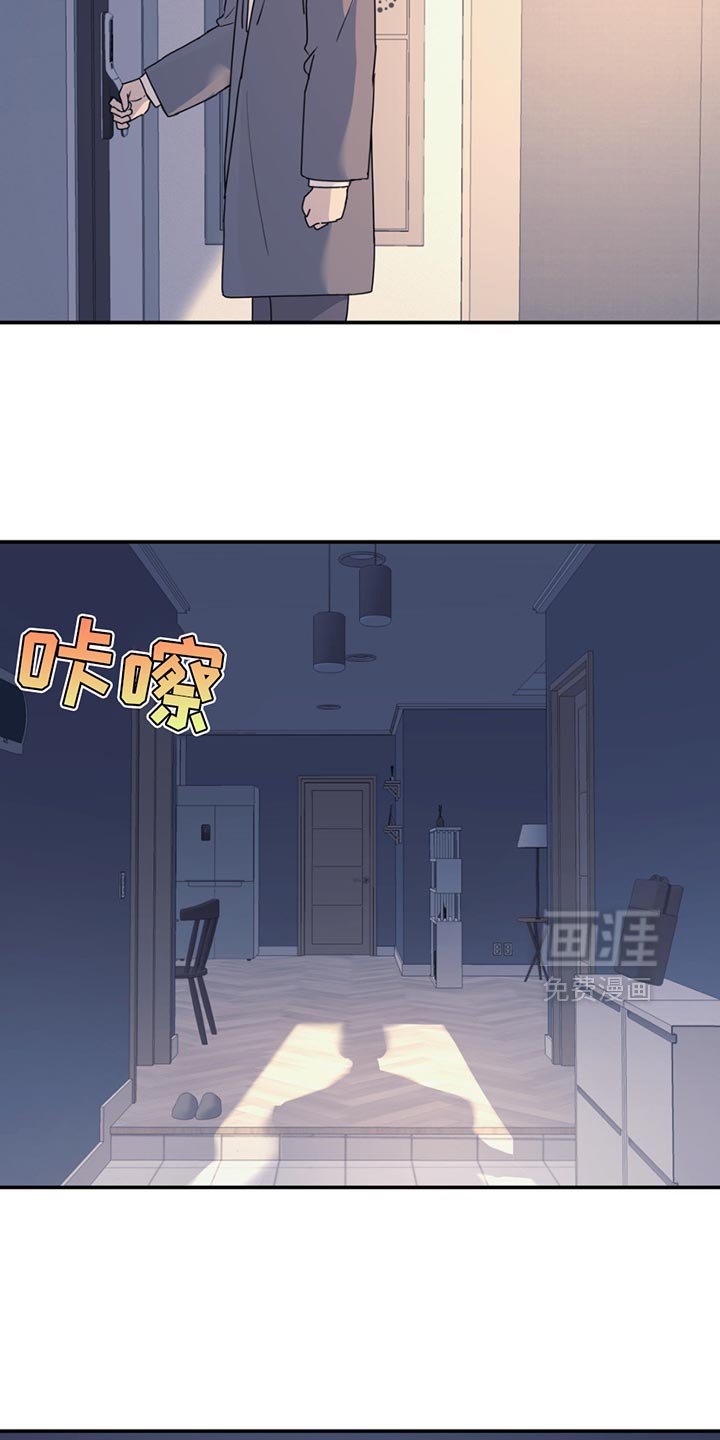 第117章：【第二季】去散步